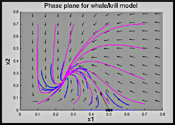 figure showing the single graph produced by Matlab file Whales_Krill_Phase_Plane.m