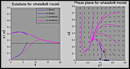 figure showing the single graph produced by Matlab file Whales_Krill_Alt.m