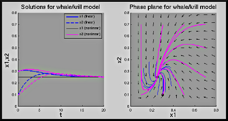 figure showing the single graph produced by Matlab file Whales_Krill_Coexist.m